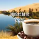 特調咖啡豆-撒哈拉甘泉/中淺烘焙250g