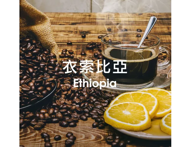 單品咖啡豆-衣索比亞/淺烘焙250g