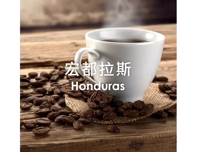 單品咖啡豆-宏都拉斯/中淺烘焙(250g/500g)