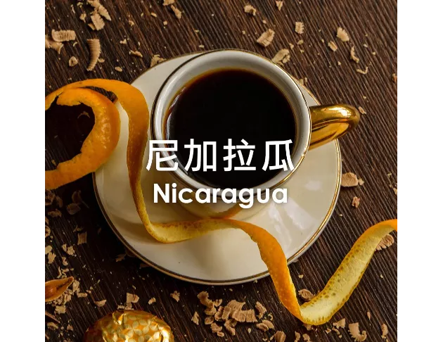 單品咖啡豆-尼加拉瓜/中烘焙250g
