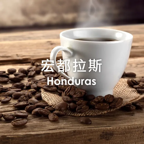 單品咖啡豆-宏都拉斯/中淺烘焙(250g/500g)