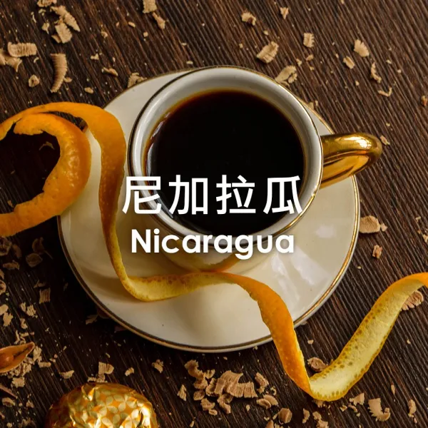 單品咖啡豆-尼加拉瓜/中烘焙250g