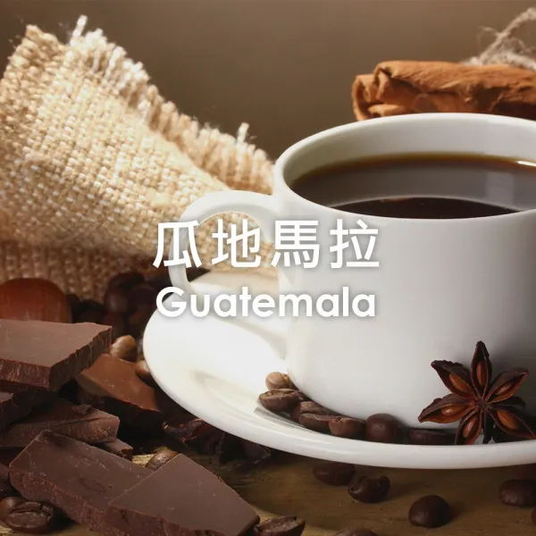 單品咖啡豆-瓜地馬拉/中深烘焙250g