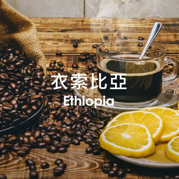 單品咖啡豆-衣索比亞/淺烘焙250g